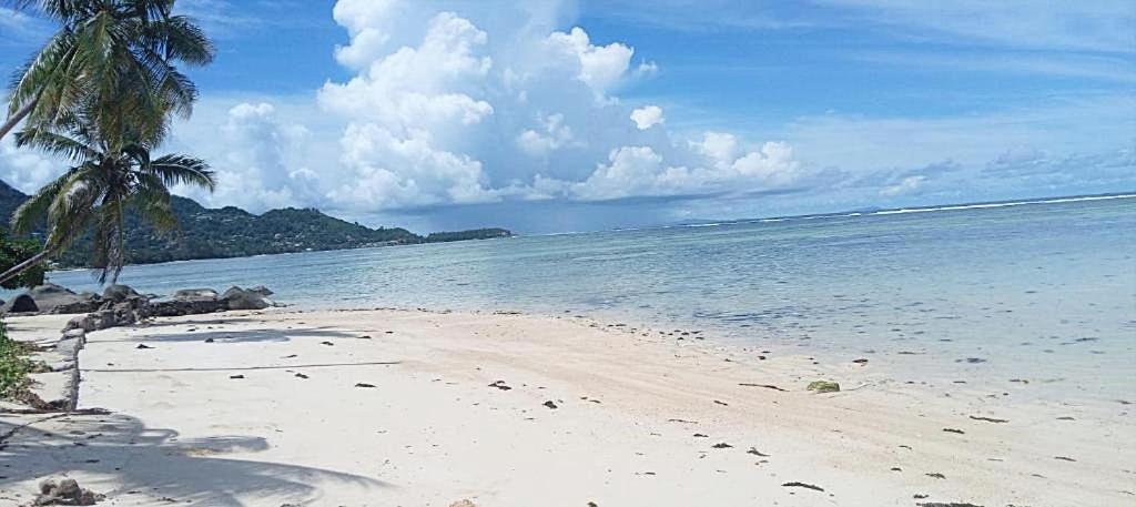 Pointe Au Sel L'Echappee Du Cap 아파트 외부 사진
